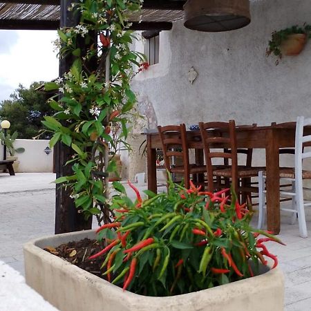 Villa Alessandro Castellammare del Golfo Εξωτερικό φωτογραφία