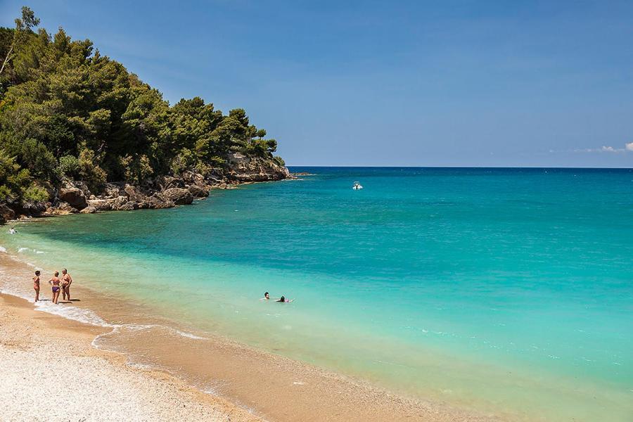 Villa Alessandro Castellammare del Golfo Εξωτερικό φωτογραφία