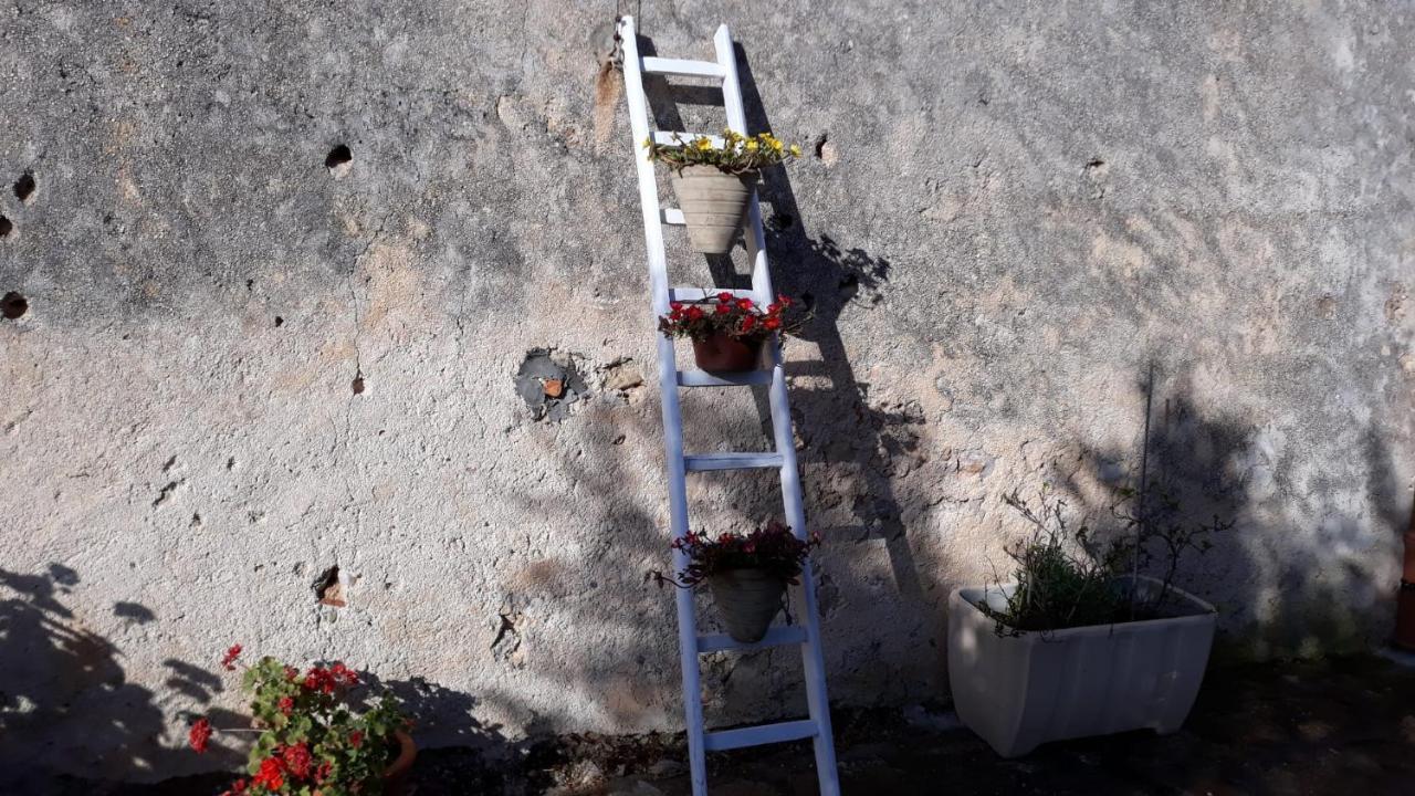 Villa Alessandro Castellammare del Golfo Εξωτερικό φωτογραφία
