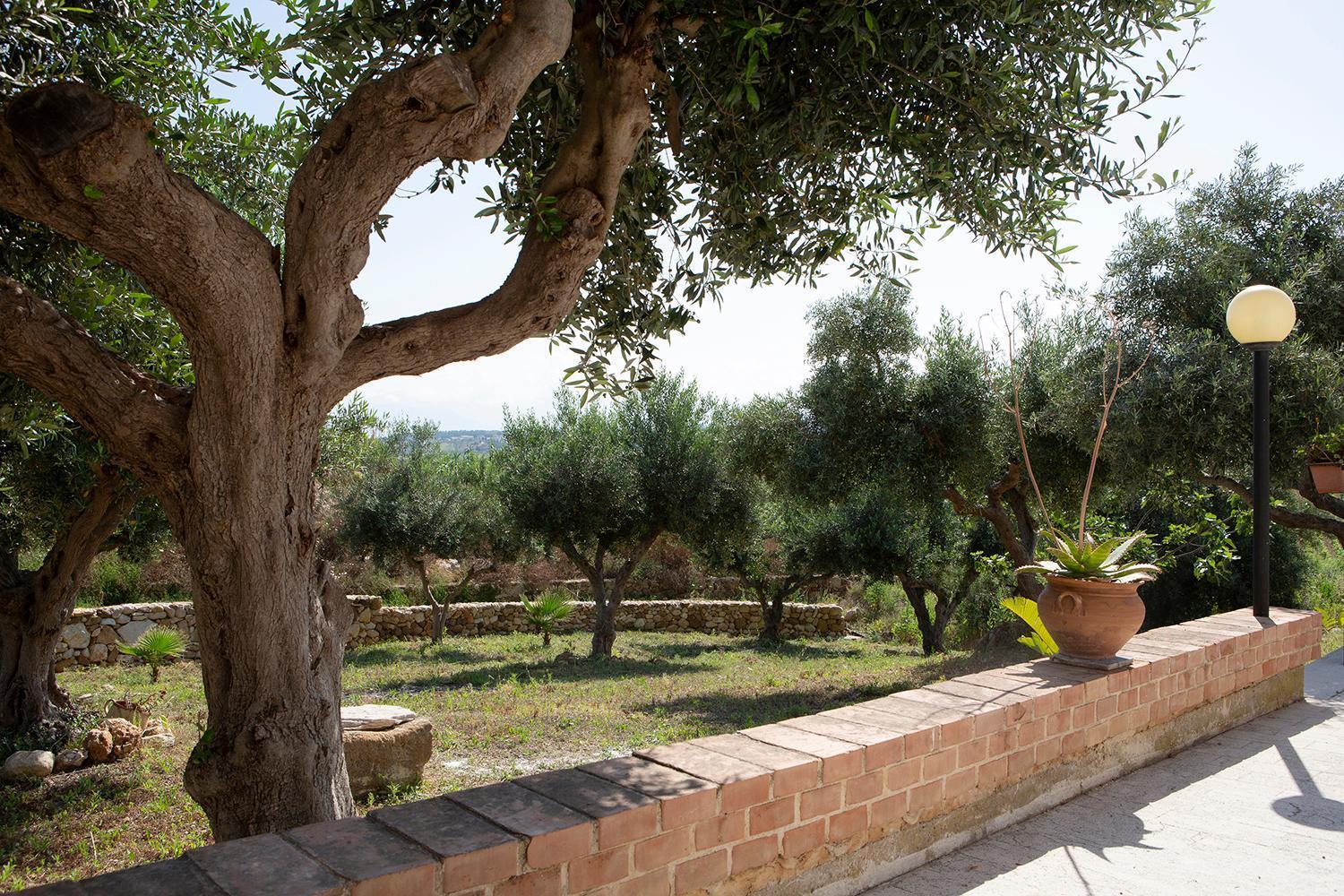 Villa Alessandro Castellammare del Golfo Εξωτερικό φωτογραφία